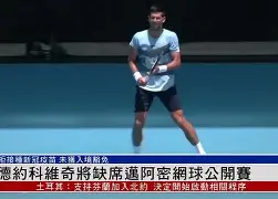 爱游戏-德约科维奇回塞尔维亚庆祝夺金